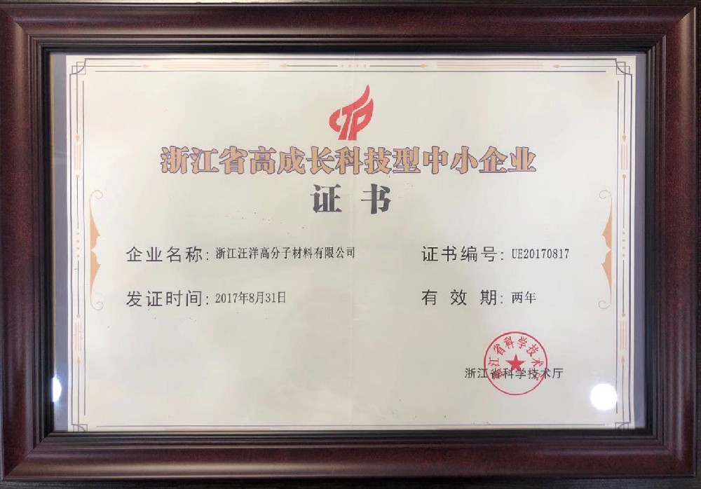 浙江省高成长科技型中小企业证书